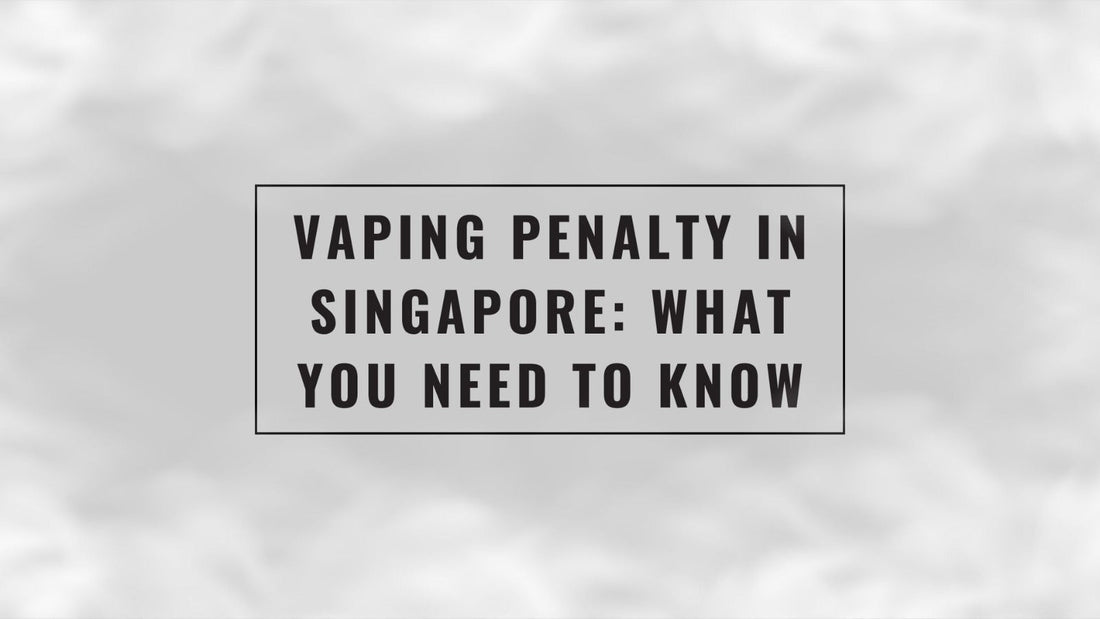 Vaping Penalty in Singapore: What You Need to Know  sgvapedeliveryshop
